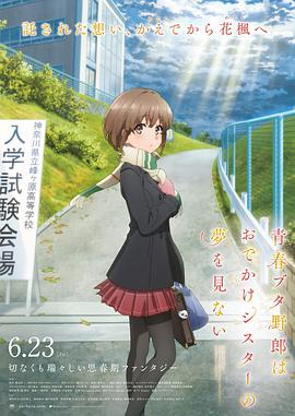 2828视频