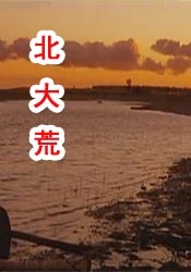 在线免费一区