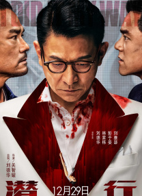 播放龚玥菲新梅金瓶
