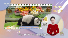 51久久精品国产